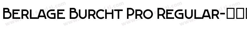 Berlage Burcht Pro Regular字体转换